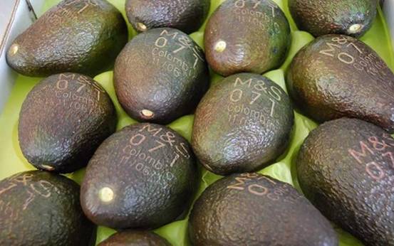 laser marking machine on fruit